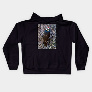 Acorn Woodpecker Looking Behind Itself Kids Hoodie